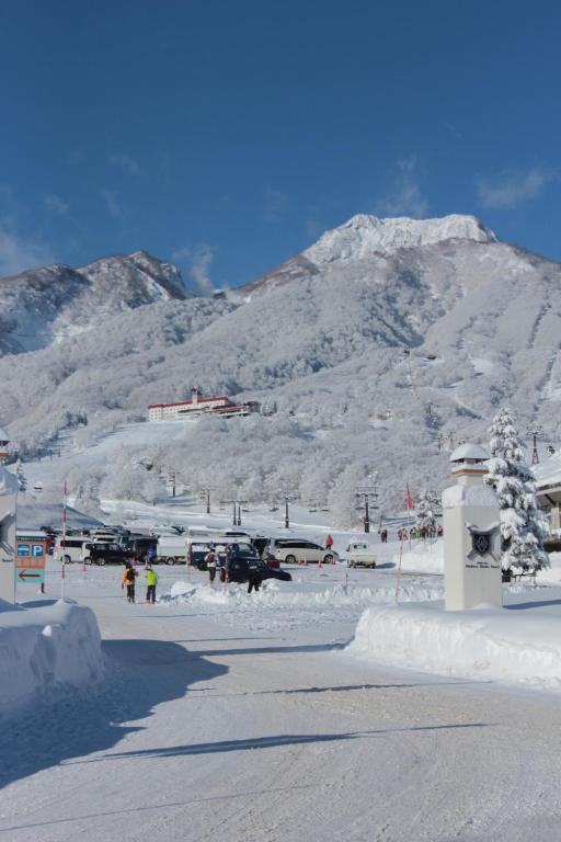 Hotel Silverhorn Myōkō Dış mekan fotoğraf